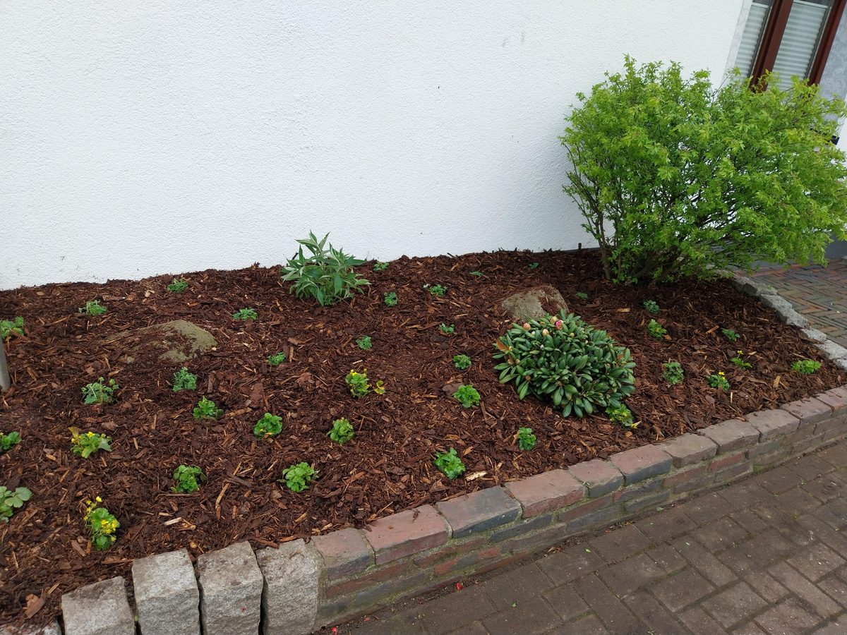 Gartengestaltung