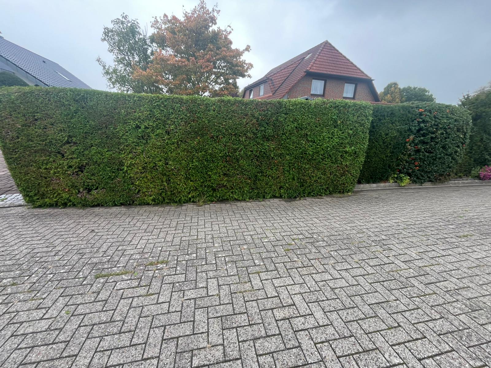 Heckenschnitt
